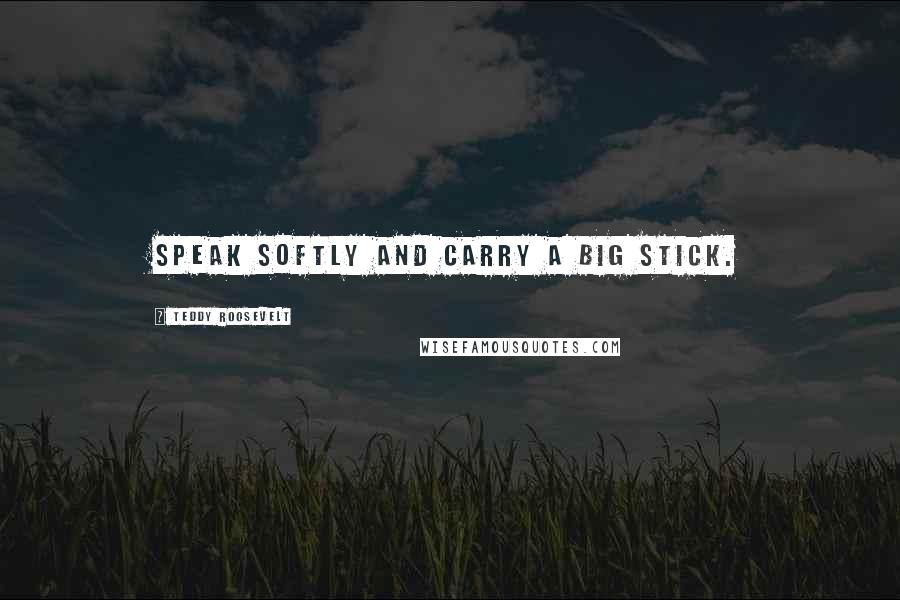 Teddy Roosevelt Quotes: Speak softly and carry a big stick.