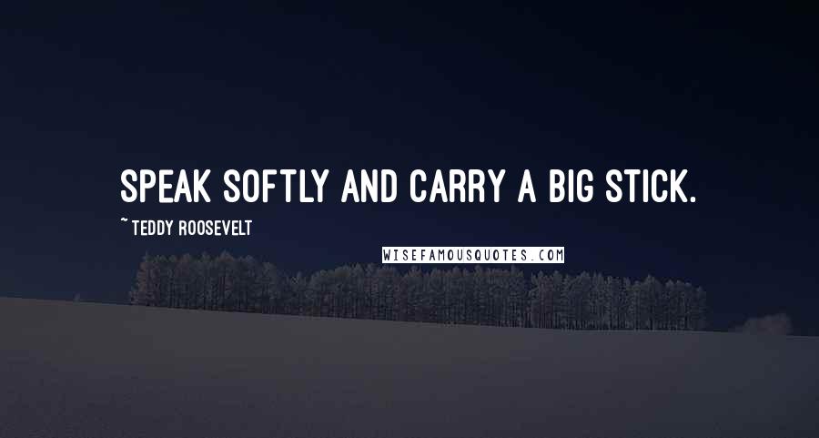 Teddy Roosevelt Quotes: Speak softly and carry a big stick.