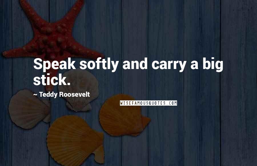 Teddy Roosevelt Quotes: Speak softly and carry a big stick.