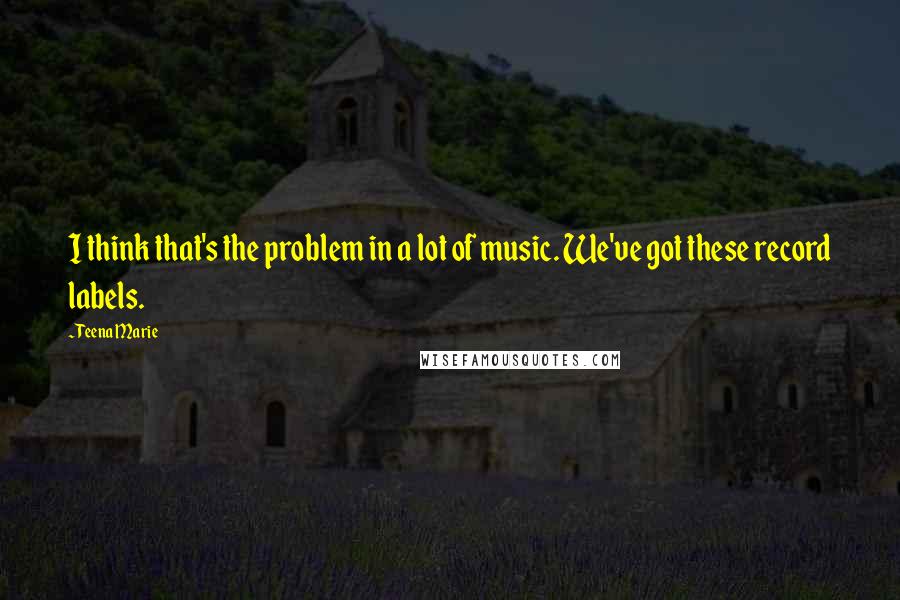Teena Marie Quotes: I think that's the problem in a lot of music. We've got these record labels.