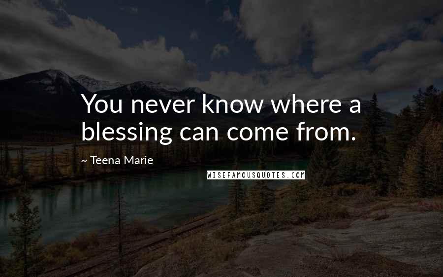 Teena Marie Quotes: You never know where a blessing can come from.