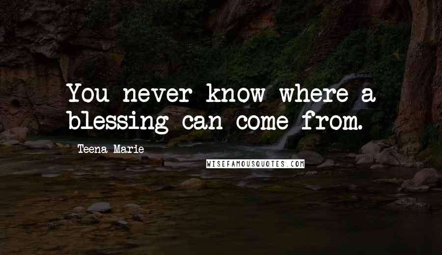 Teena Marie Quotes: You never know where a blessing can come from.