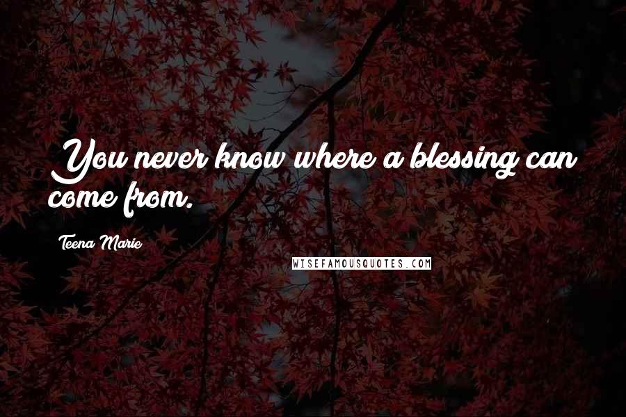Teena Marie Quotes: You never know where a blessing can come from.