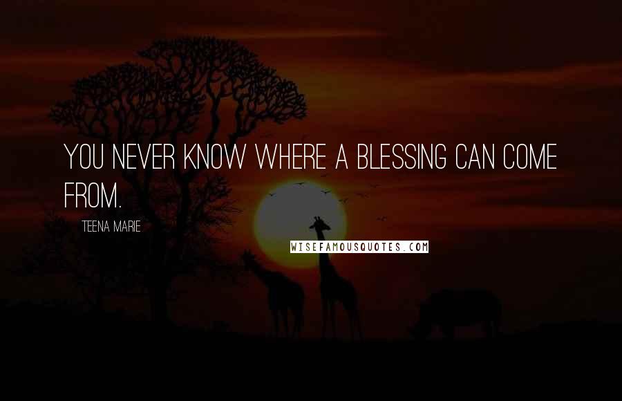 Teena Marie Quotes: You never know where a blessing can come from.