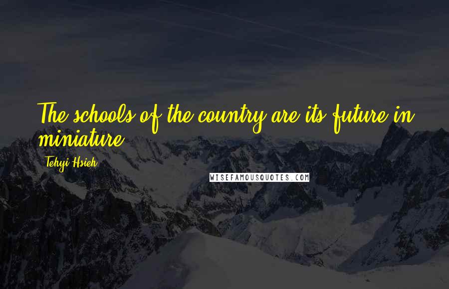 Tehyi Hsieh Quotes: The schools of the country are its future in miniature.