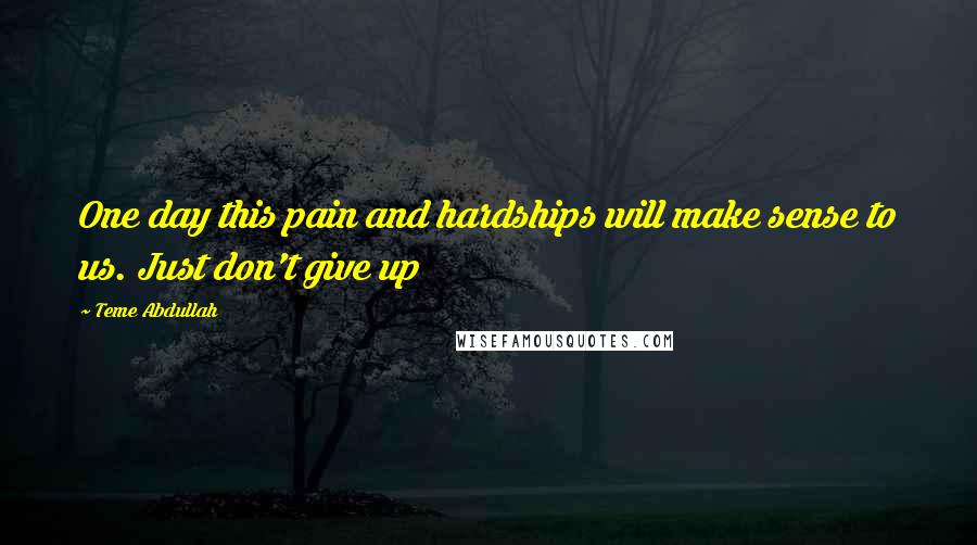 Teme Abdullah Quotes: One day this pain and hardships will make sense to us. Just don't give up