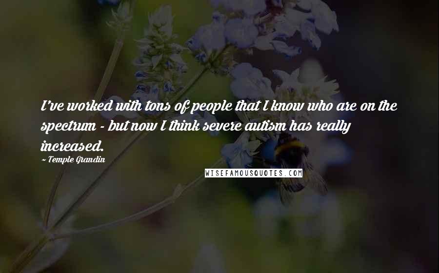 Temple Grandin Quotes: I've worked with tons of people that I know who are on the spectrum - but now I think severe autism has really increased.