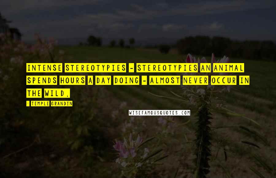 Temple Grandin Quotes: Intense stereotypies - stereotypies an animal spends hours a day doing - almost never occur in the wild,
