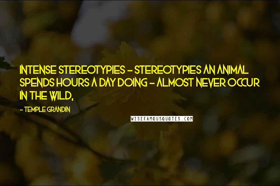 Temple Grandin Quotes: Intense stereotypies - stereotypies an animal spends hours a day doing - almost never occur in the wild,