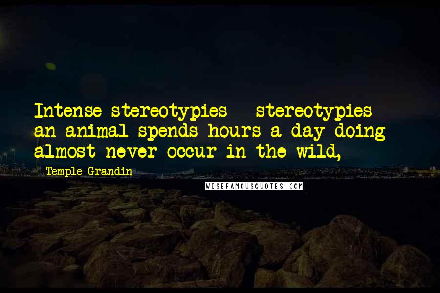Temple Grandin Quotes: Intense stereotypies - stereotypies an animal spends hours a day doing - almost never occur in the wild,