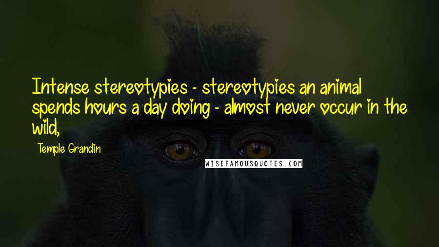 Temple Grandin Quotes: Intense stereotypies - stereotypies an animal spends hours a day doing - almost never occur in the wild,