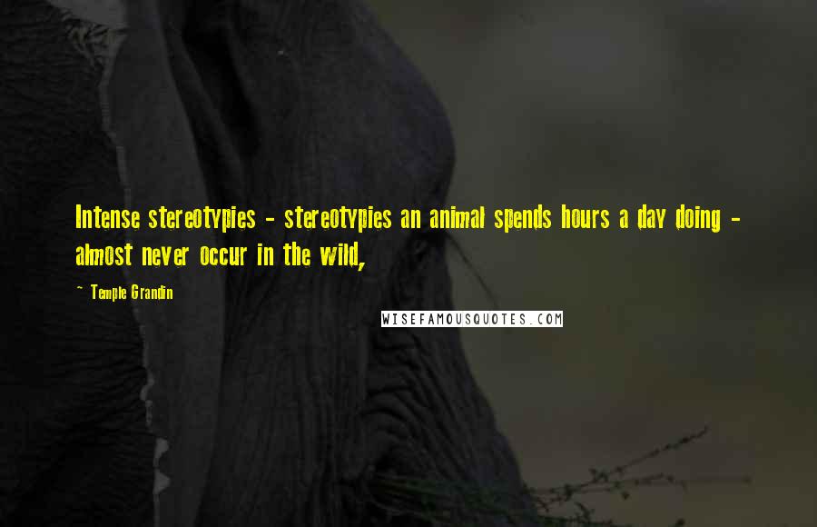 Temple Grandin Quotes: Intense stereotypies - stereotypies an animal spends hours a day doing - almost never occur in the wild,