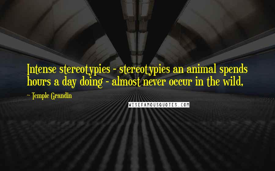 Temple Grandin Quotes: Intense stereotypies - stereotypies an animal spends hours a day doing - almost never occur in the wild,