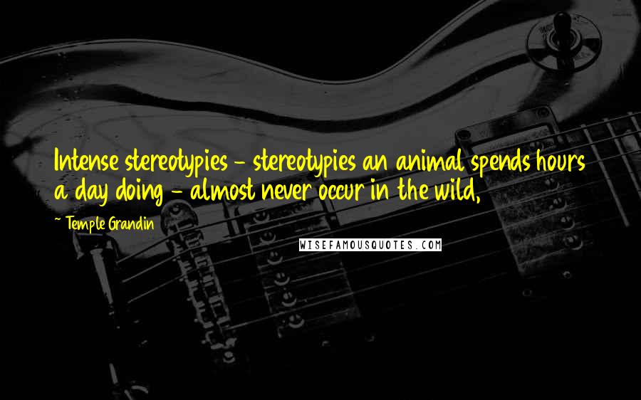 Temple Grandin Quotes: Intense stereotypies - stereotypies an animal spends hours a day doing - almost never occur in the wild,