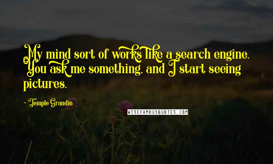 Temple Grandin Quotes: My mind sort of works like a search engine. You ask me something, and I start seeing pictures.
