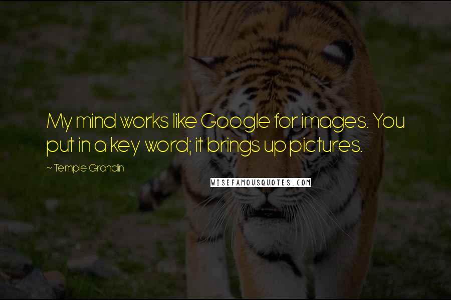 Temple Grandin Quotes: My mind works like Google for images. You put in a key word; it brings up pictures.