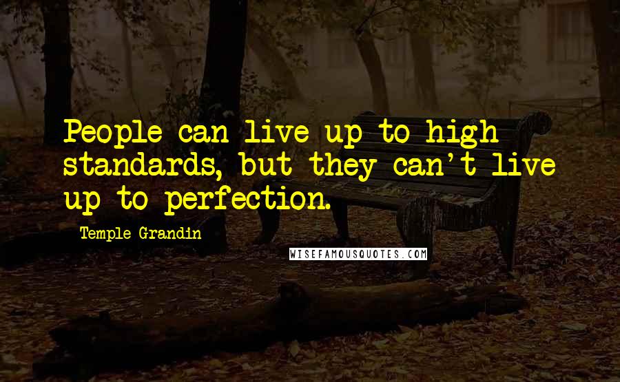 Temple Grandin Quotes: People can live up to high standards, but they can't live up to perfection.