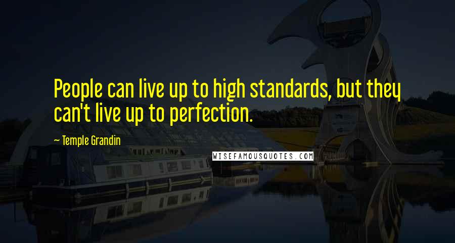 Temple Grandin Quotes: People can live up to high standards, but they can't live up to perfection.