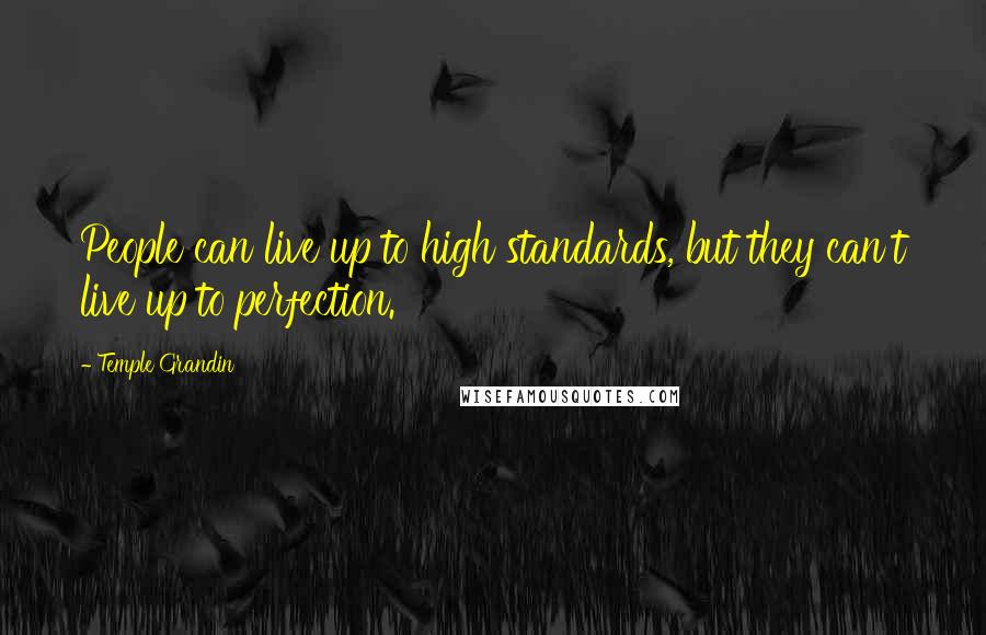 Temple Grandin Quotes: People can live up to high standards, but they can't live up to perfection.