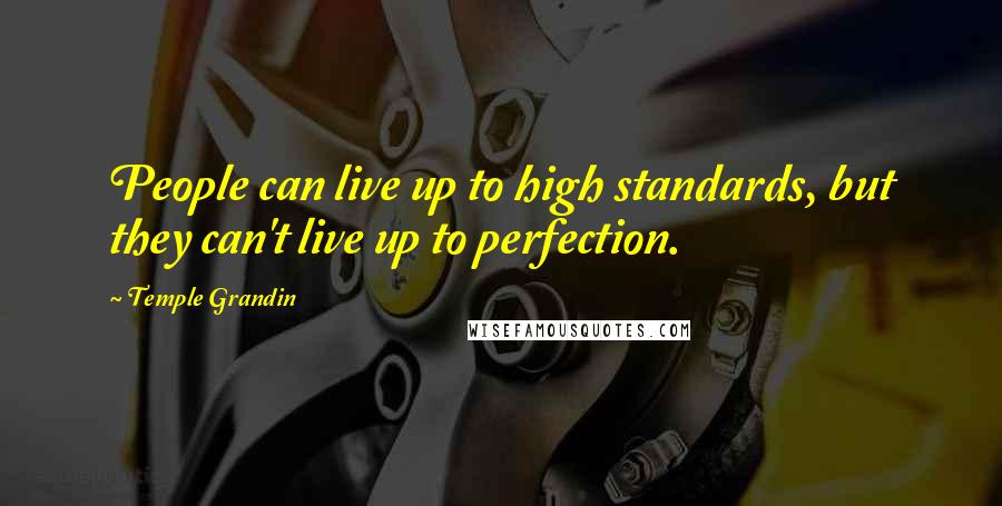 Temple Grandin Quotes: People can live up to high standards, but they can't live up to perfection.