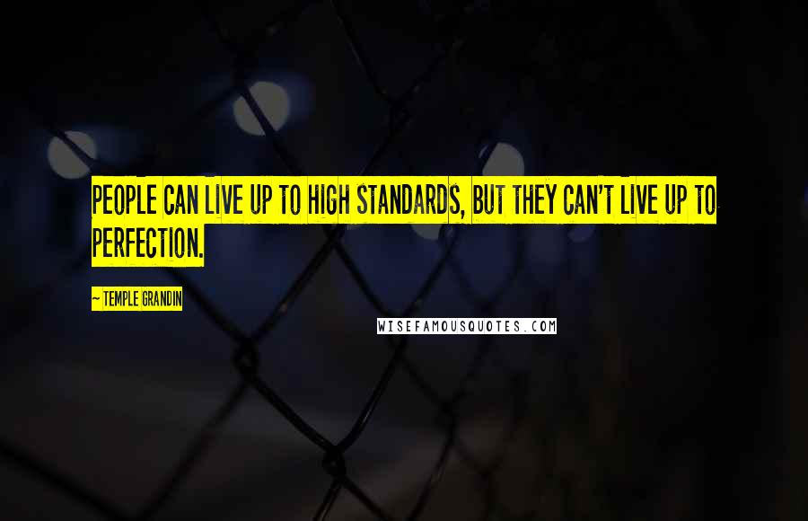 Temple Grandin Quotes: People can live up to high standards, but they can't live up to perfection.