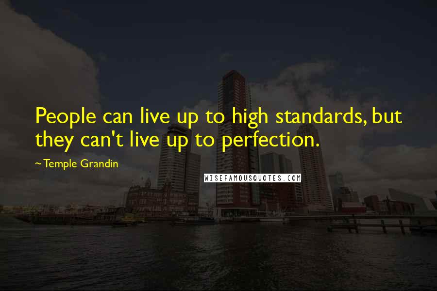 Temple Grandin Quotes: People can live up to high standards, but they can't live up to perfection.