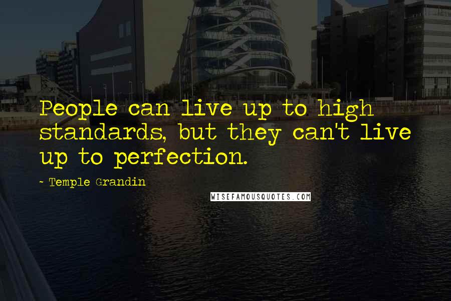 Temple Grandin Quotes: People can live up to high standards, but they can't live up to perfection.