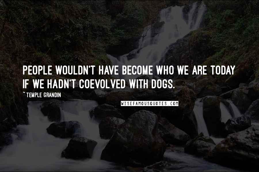 Temple Grandin Quotes: People wouldn't have become who we are today if we hadn't coevolved with dogs.