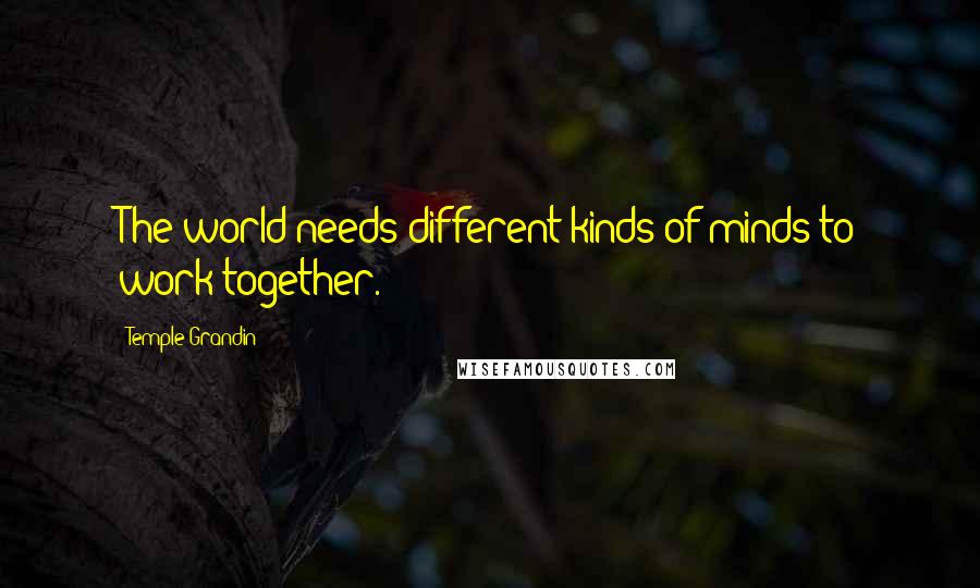 Temple Grandin Quotes: The world needs different kinds of minds to work together.