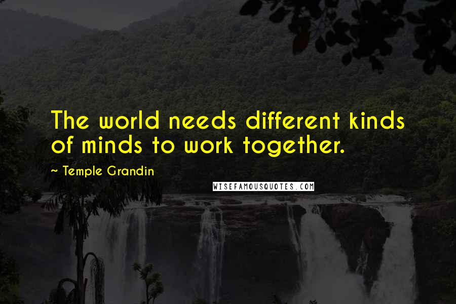 Temple Grandin Quotes: The world needs different kinds of minds to work together.