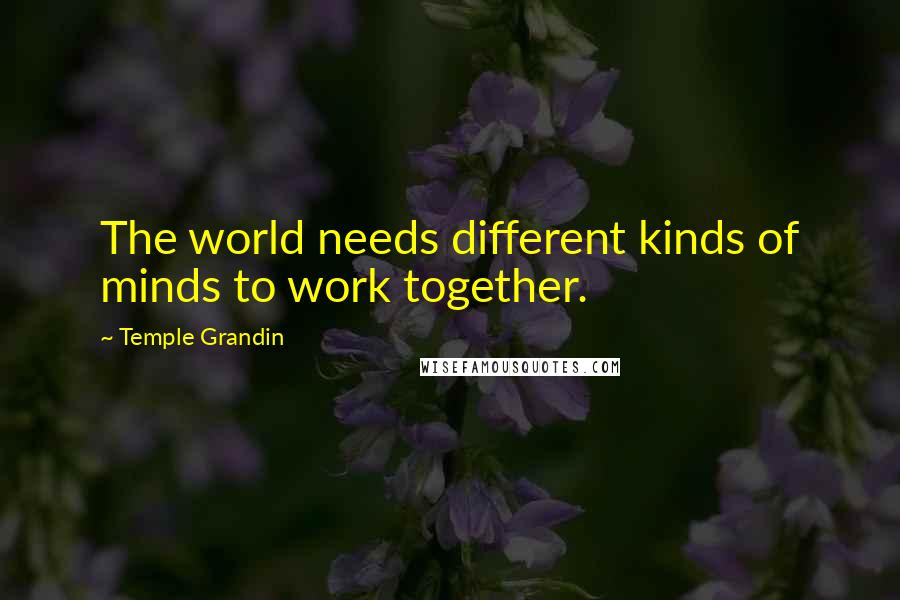 Temple Grandin Quotes: The world needs different kinds of minds to work together.