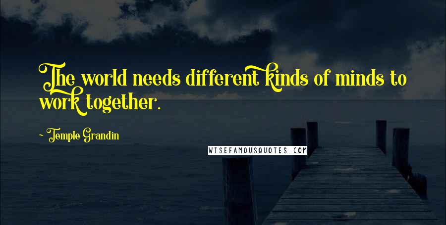 Temple Grandin Quotes: The world needs different kinds of minds to work together.