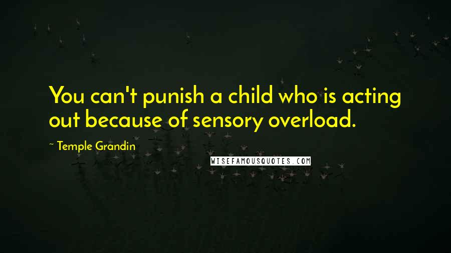 Temple Grandin Quotes: You can't punish a child who is acting out because of sensory overload.