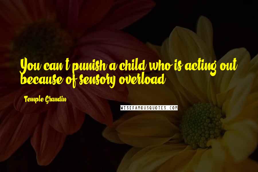 Temple Grandin Quotes: You can't punish a child who is acting out because of sensory overload.