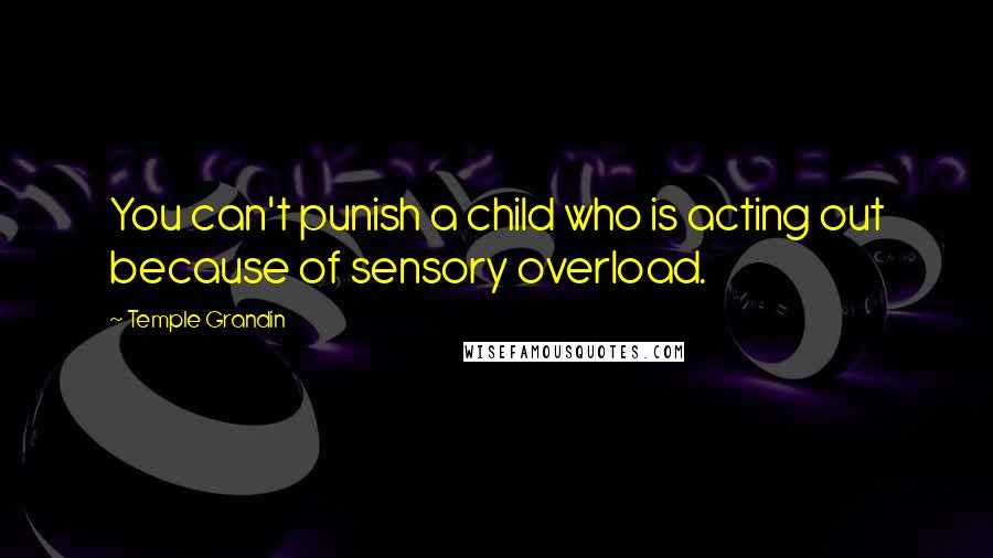 Temple Grandin Quotes: You can't punish a child who is acting out because of sensory overload.