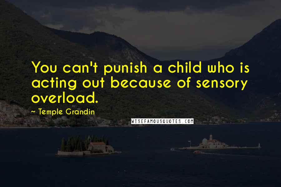 Temple Grandin Quotes: You can't punish a child who is acting out because of sensory overload.