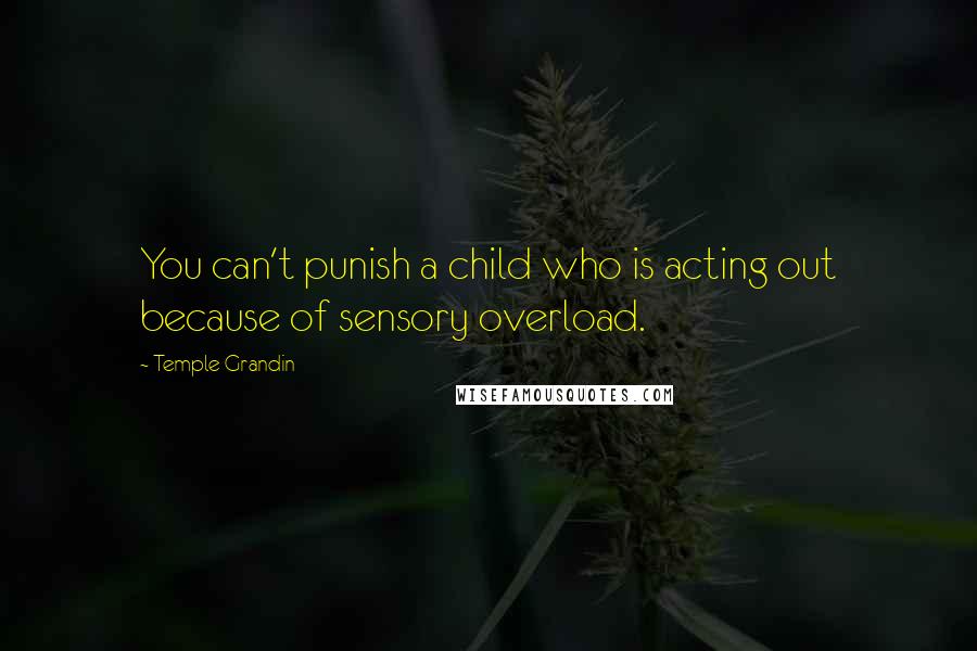 Temple Grandin Quotes: You can't punish a child who is acting out because of sensory overload.