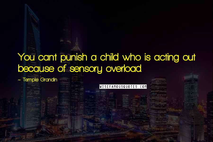 Temple Grandin Quotes: You can't punish a child who is acting out because of sensory overload.