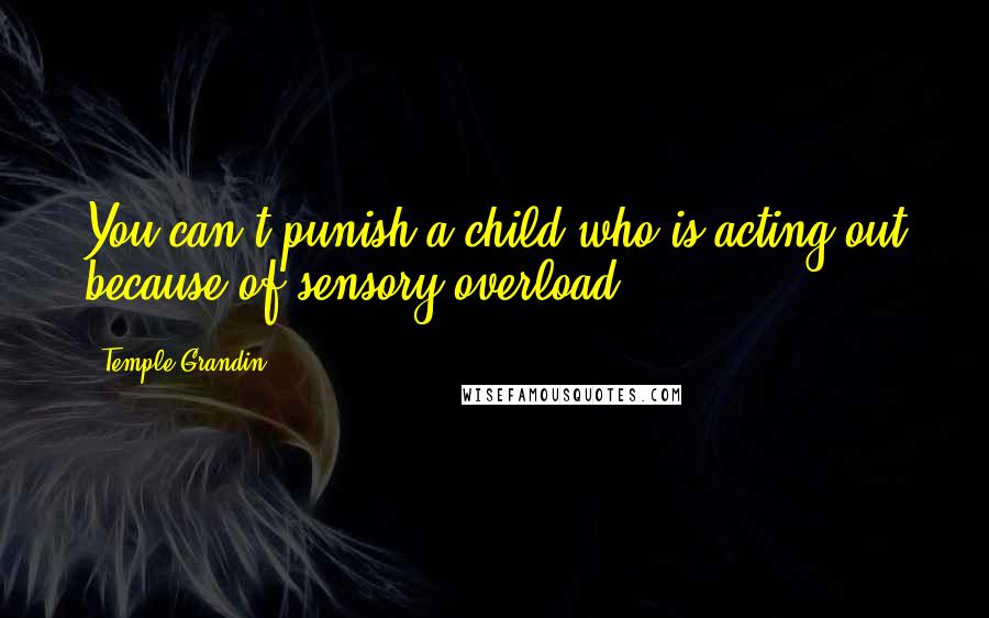 Temple Grandin Quotes: You can't punish a child who is acting out because of sensory overload.