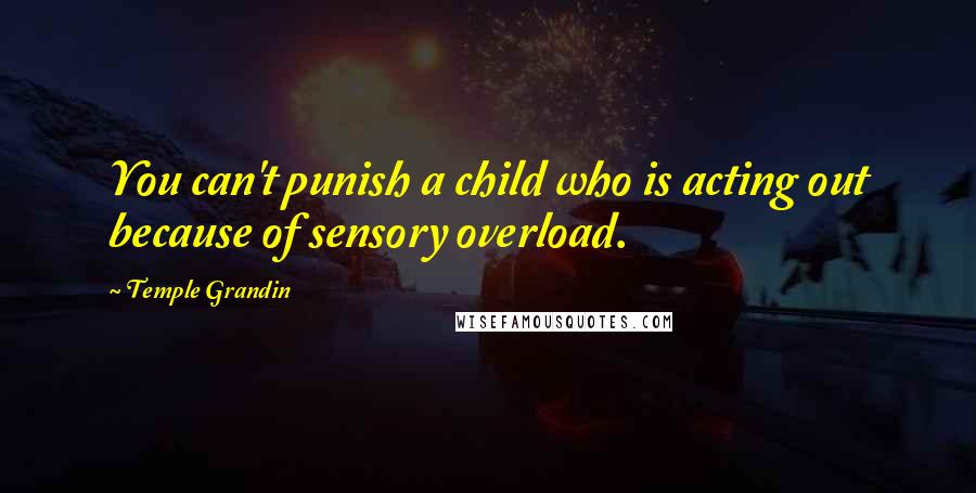 Temple Grandin Quotes: You can't punish a child who is acting out because of sensory overload.