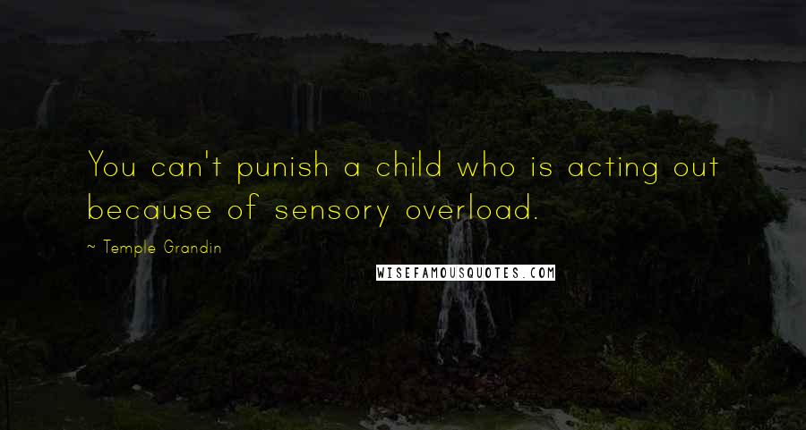 Temple Grandin Quotes: You can't punish a child who is acting out because of sensory overload.