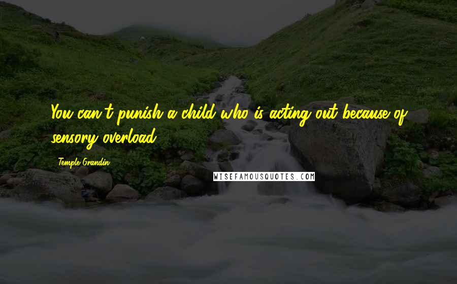 Temple Grandin Quotes: You can't punish a child who is acting out because of sensory overload.