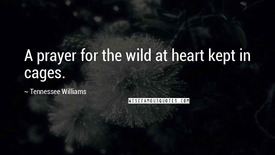 Tennessee Williams Quotes: A prayer for the wild at heart kept in cages.