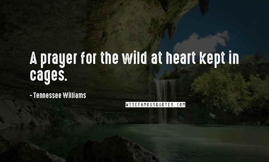 Tennessee Williams Quotes: A prayer for the wild at heart kept in cages.