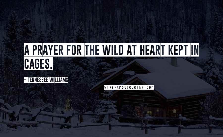 Tennessee Williams Quotes: A prayer for the wild at heart kept in cages.