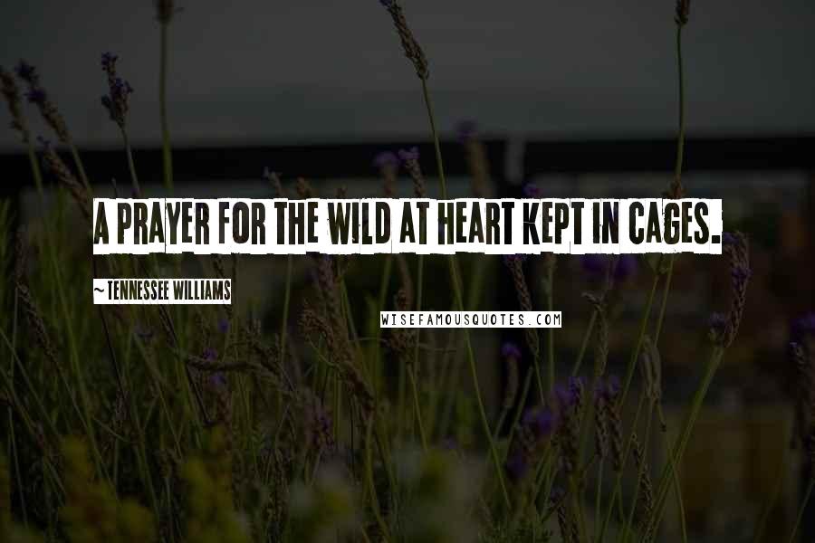 Tennessee Williams Quotes: A prayer for the wild at heart kept in cages.