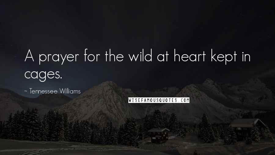 Tennessee Williams Quotes: A prayer for the wild at heart kept in cages.