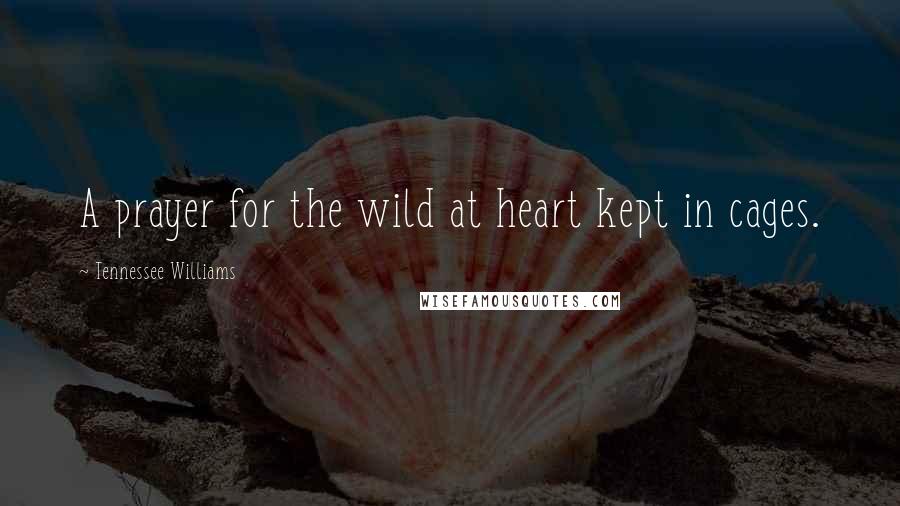 Tennessee Williams Quotes: A prayer for the wild at heart kept in cages.