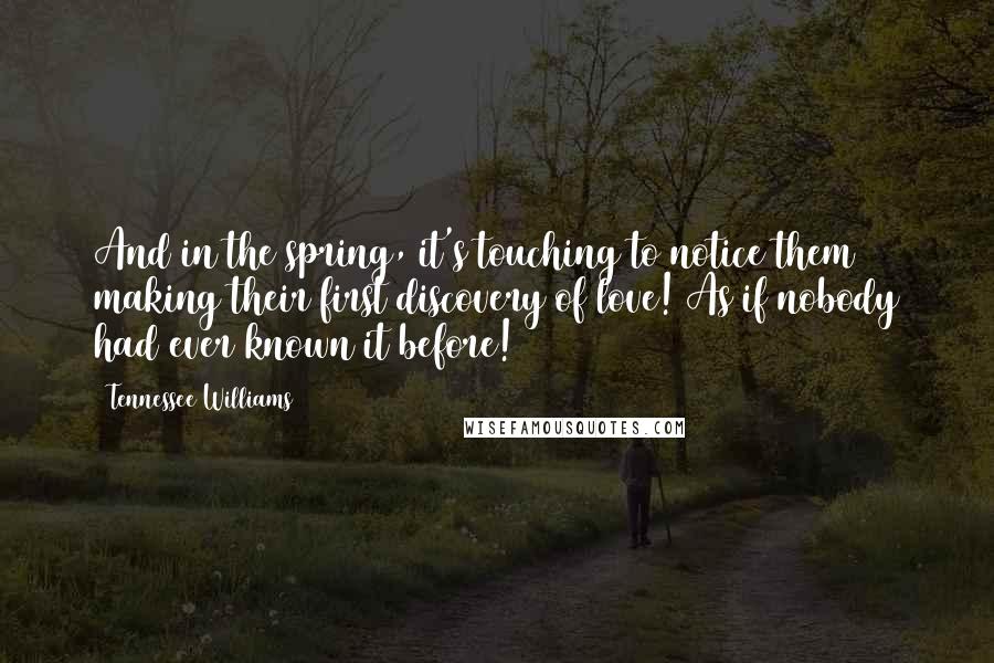 Tennessee Williams Quotes: And in the spring, it's touching to notice them making their first discovery of love! As if nobody had ever known it before!