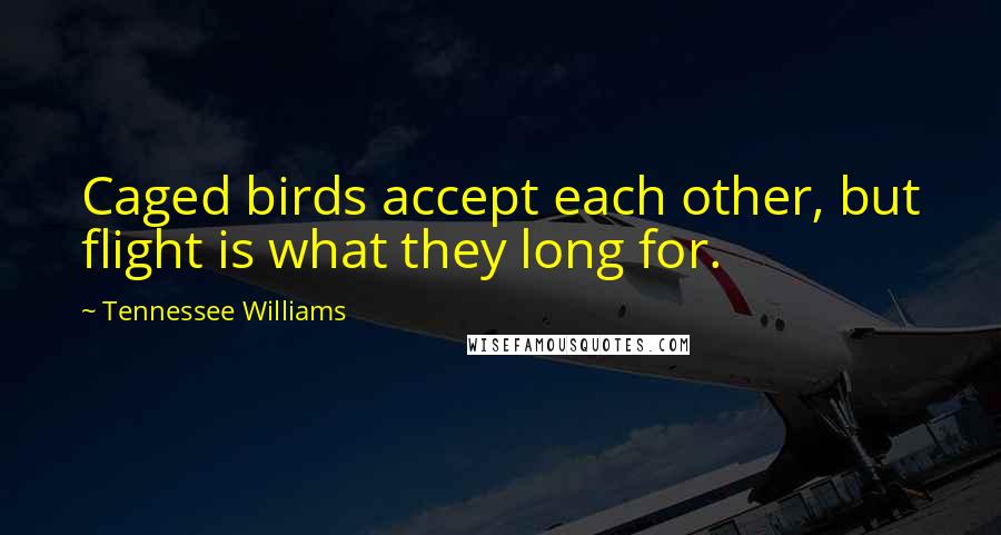 Tennessee Williams Quotes: Caged birds accept each other, but flight is what they long for.